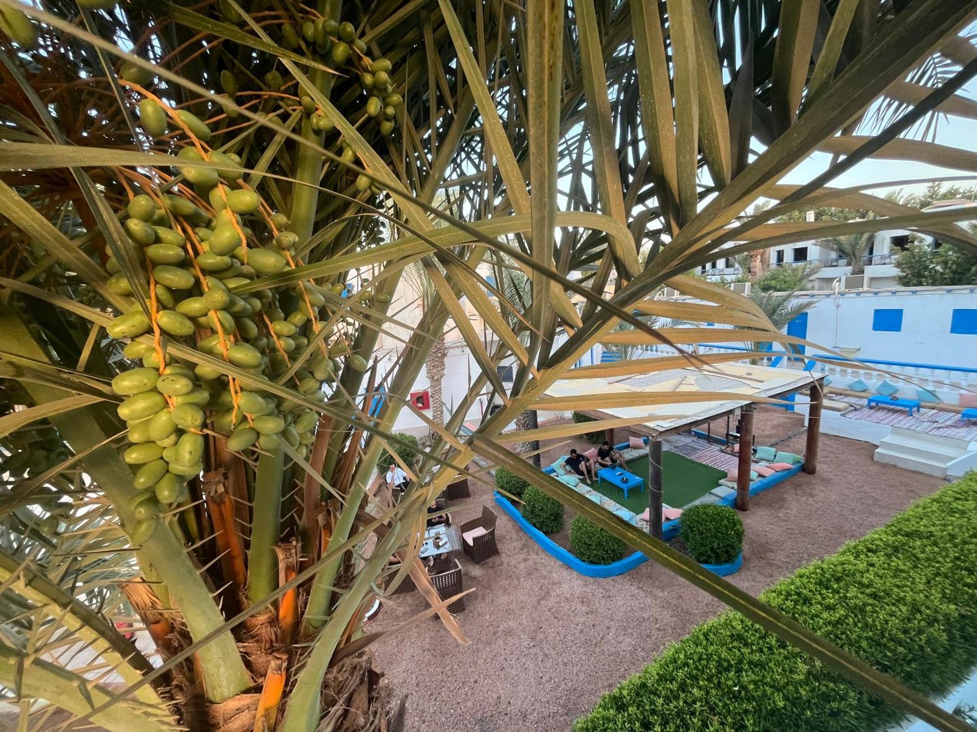 Auski Hostel 达哈布 外观 照片